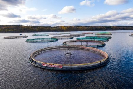 Селекционно-племенной центр рыбоводства